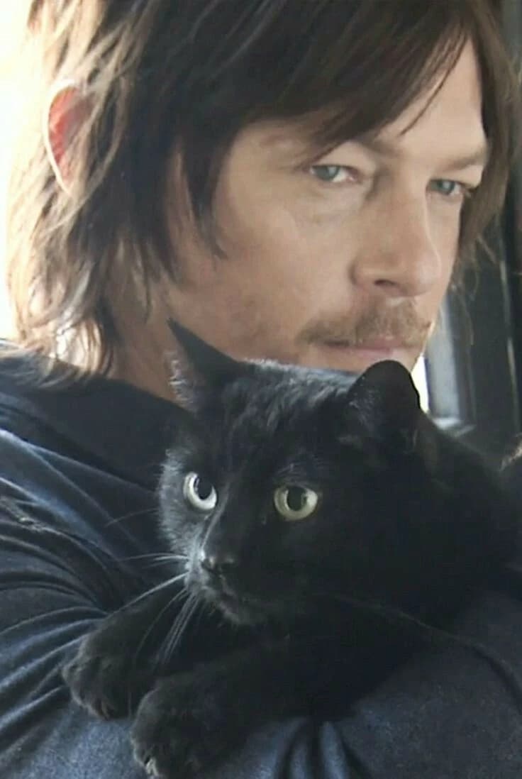 Daryl Dixon thumbnail