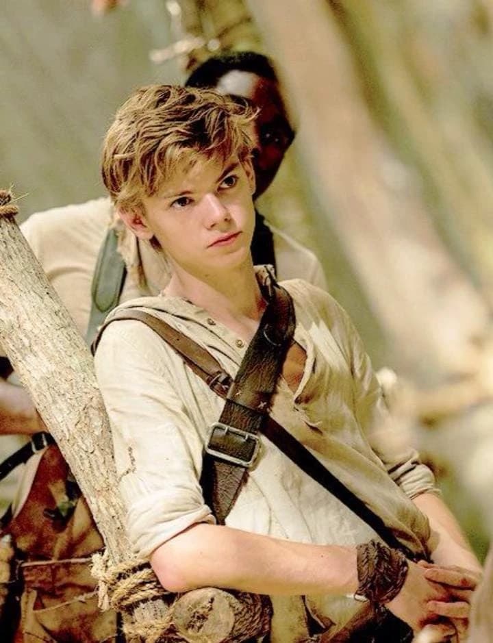 Newt thumbnail
