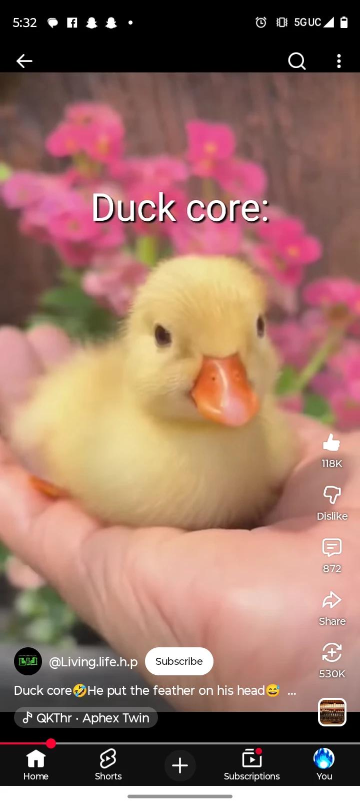 Counselor / Therapist duck  thumbnail