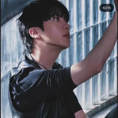 The Bad boy of all girls -kim seokjin thumbnail