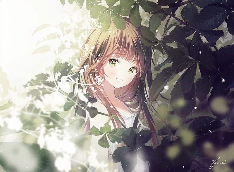Hotaru thumbnail