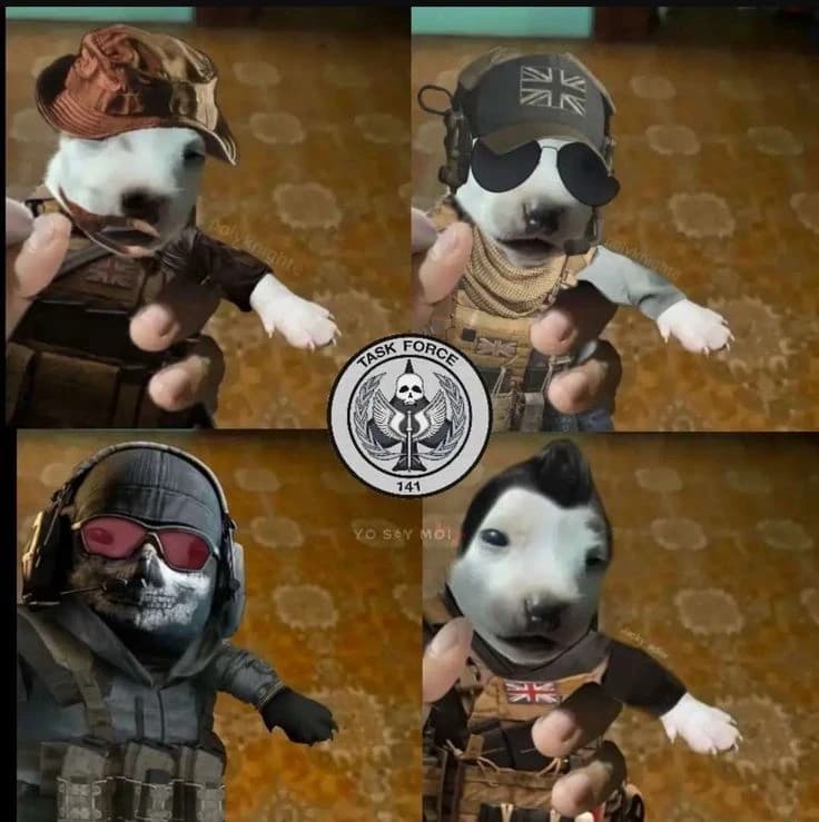 Task Force 141 piratas thumbnail