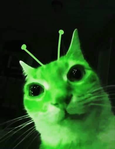 Alien cat thumbnail