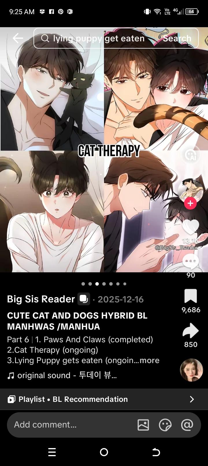 The cat Treaphy  thumbnail
