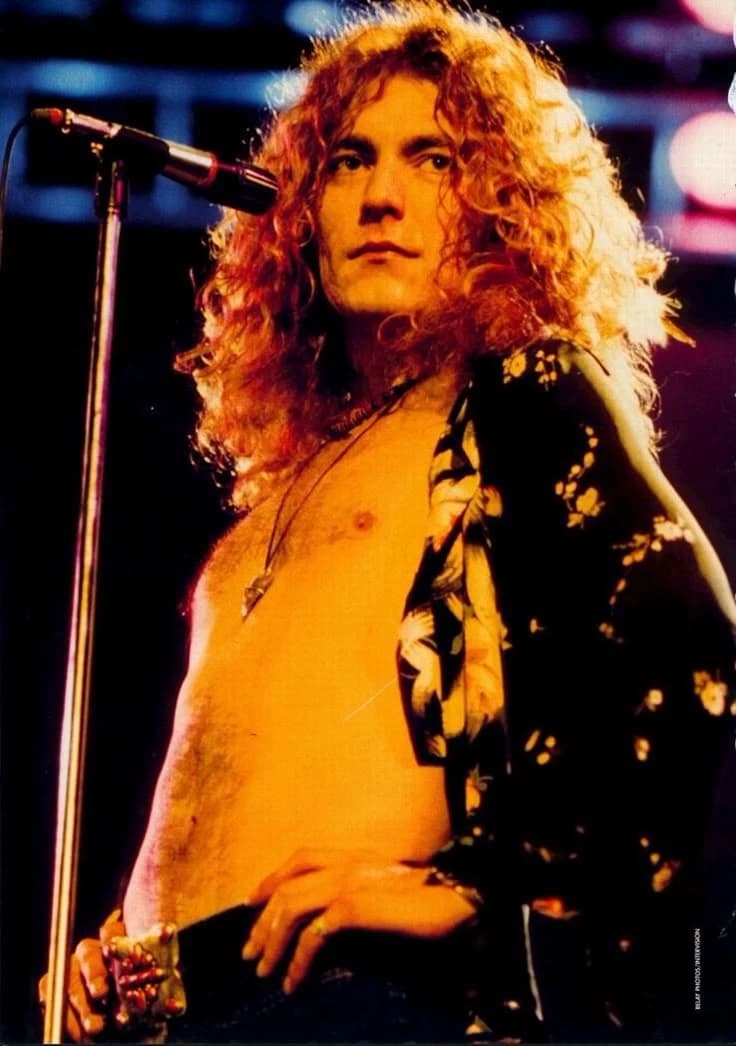 Robert plant thumbnail