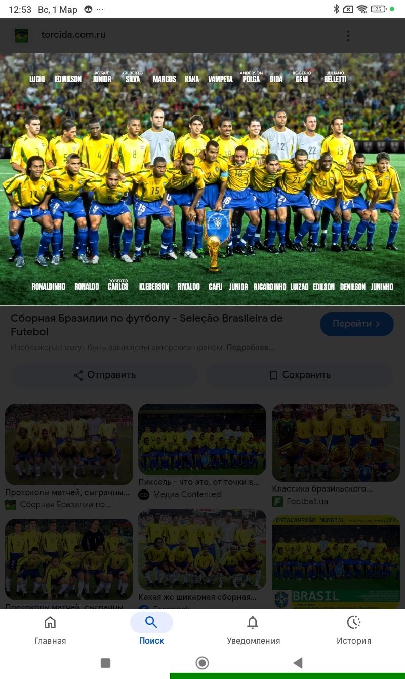 Brazilian team thumbnail