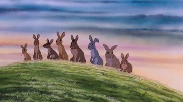 Rabbit farm thumbnail