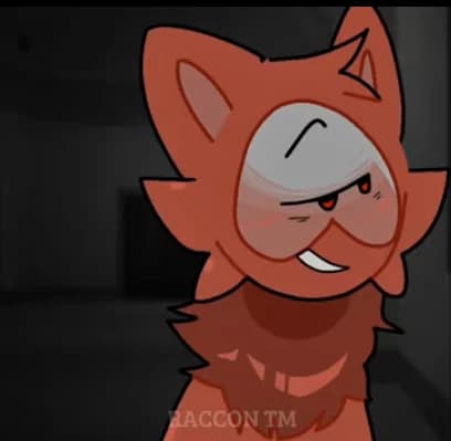 Raccon thumbnail