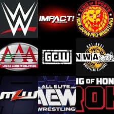 WRESTLING ENTERTAINMENT thumbnail