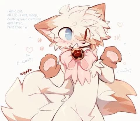 Your furry friend had a good day thumbnail