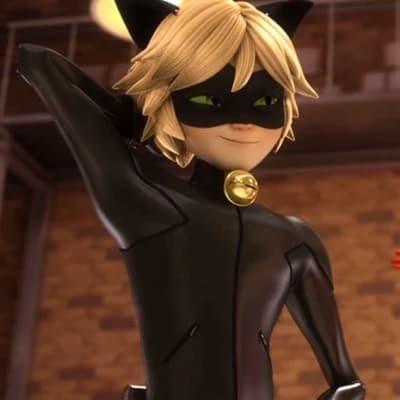 Adrien Agreste / Cat Noir thumbnail