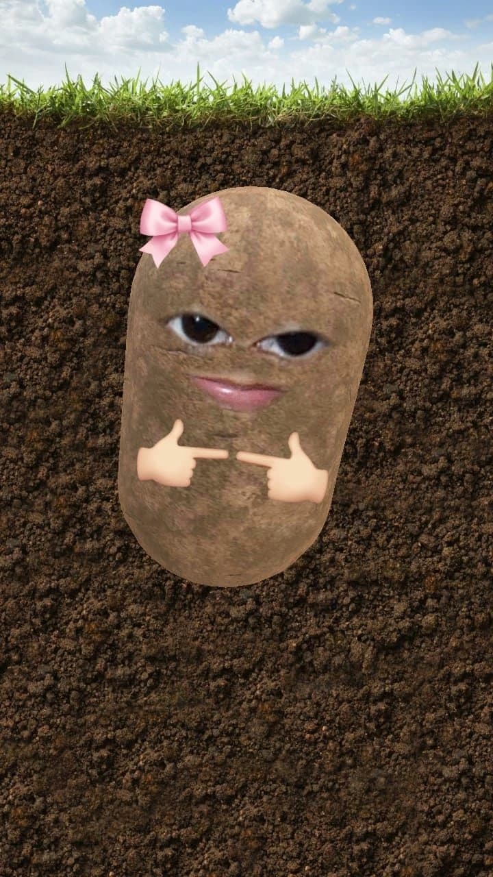 potato thumbnail