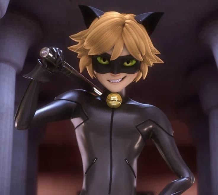 Cat noir/Adrien agreste thumbnail