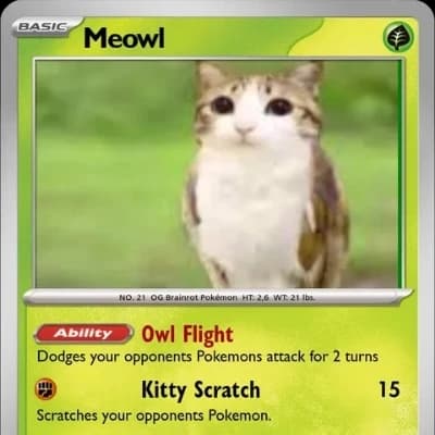 Meowl thumbnail