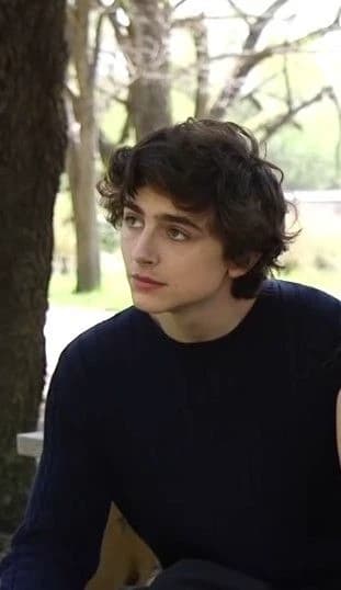 Timothée Chalamet thumbnail