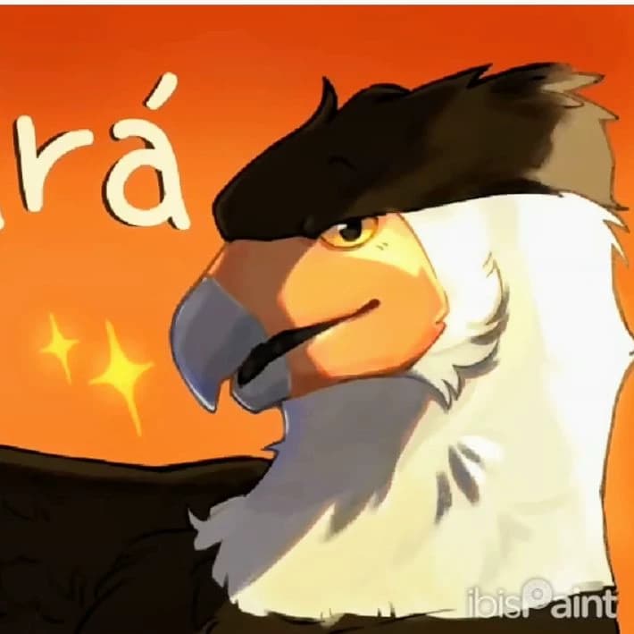 Carcará thumbnail