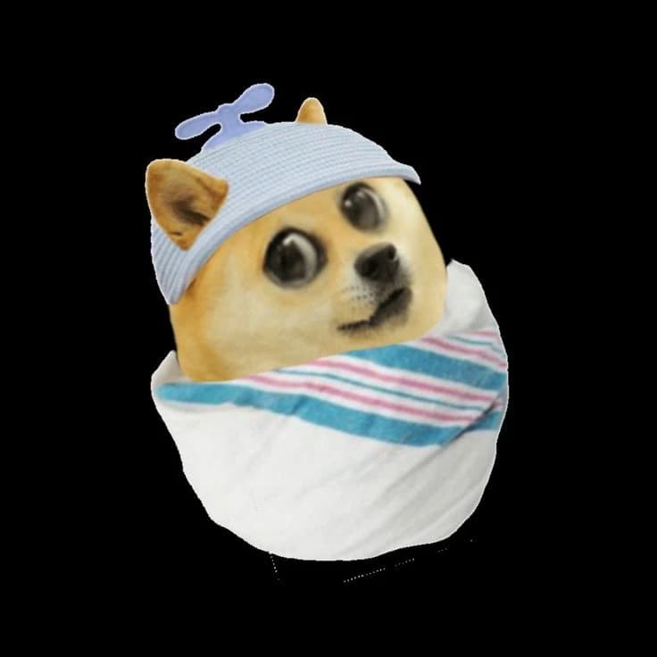 Baby puppy thumbnail