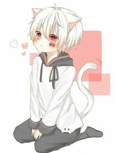 Abel thumbnail