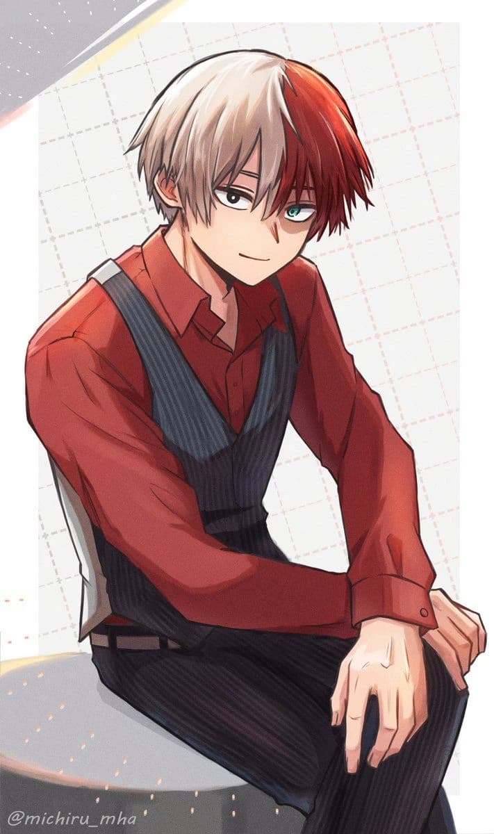 Shoto Todoroki  thumbnail