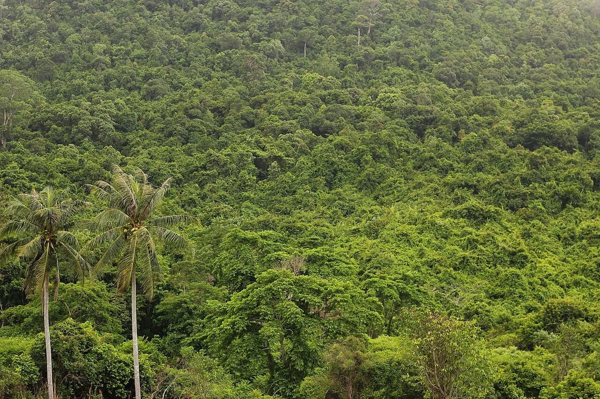 Evil Jurassic Park thumbnail