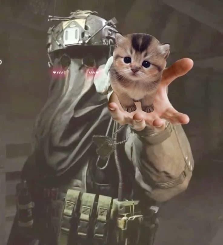 König  thumbnail