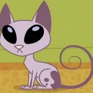 Mr Cat thumbnail