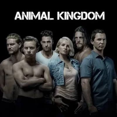 Animal kingdom thumbnail
