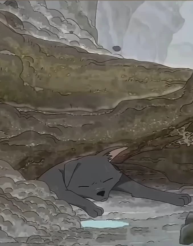 Laze (wild wolf) thumbnail