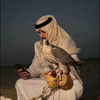 Sheikh Arham thumbnail