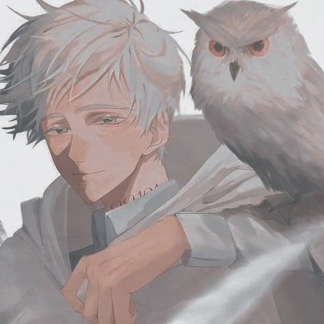 Norman thumbnail