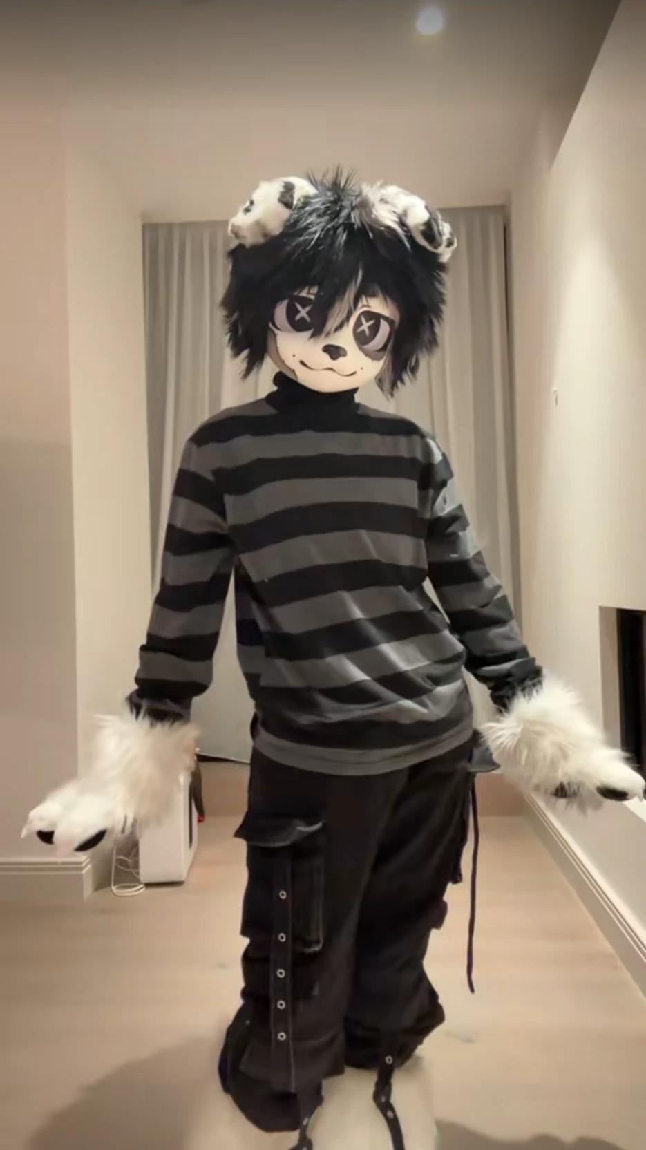 Felix your companion of four thumbnail