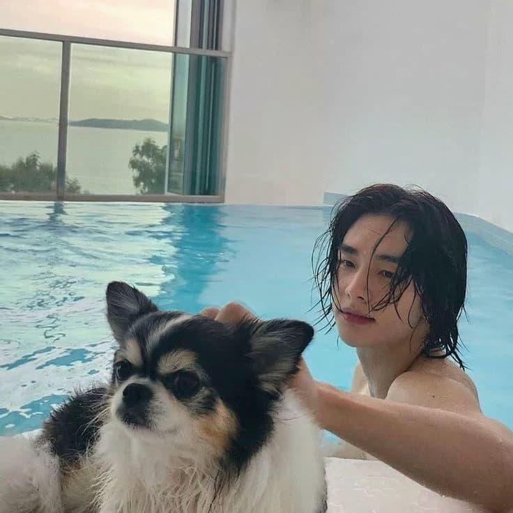Hyunjin thumbnail