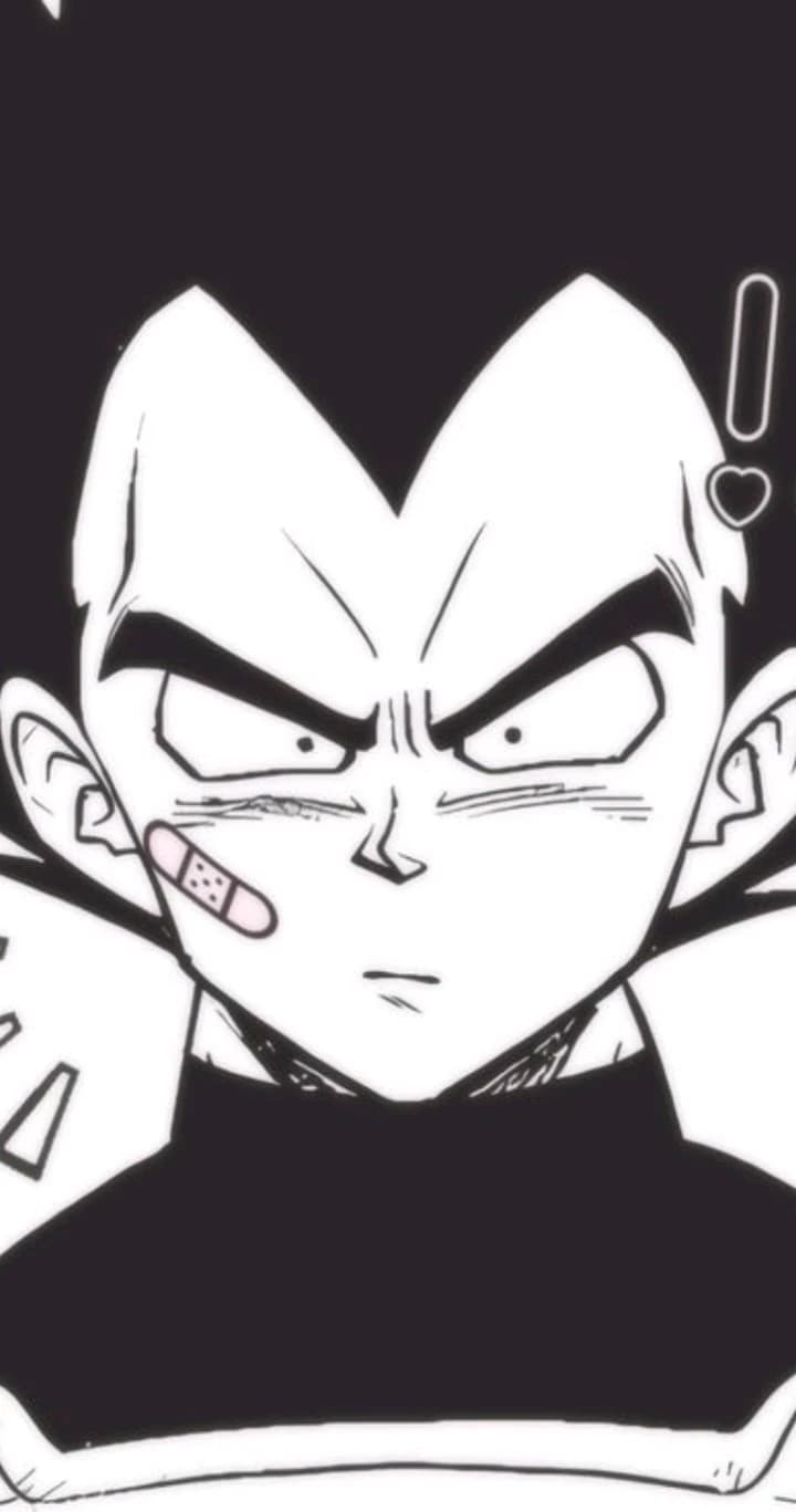 Vegeta:3 thumbnail