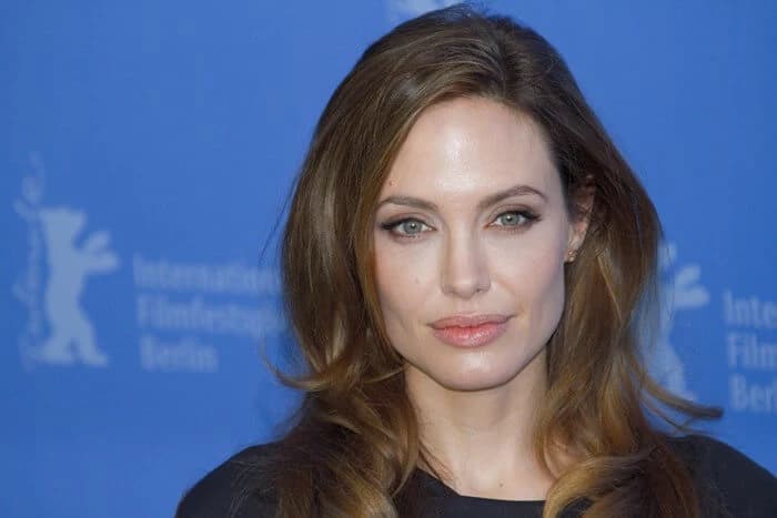 Angelina Jolie and her family thumbnail