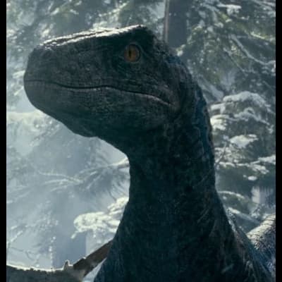 Jurassic World male and name: Blue  thumbnail
