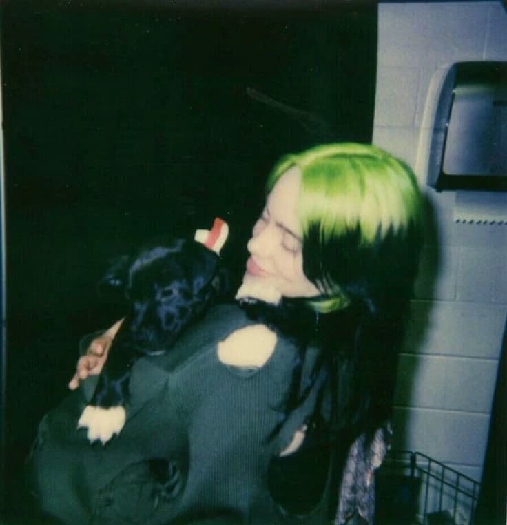 Billie Eilish  thumbnail