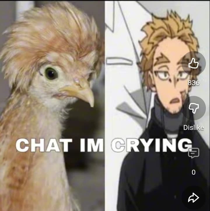 Keigo Takami (Hawks) thumbnail
