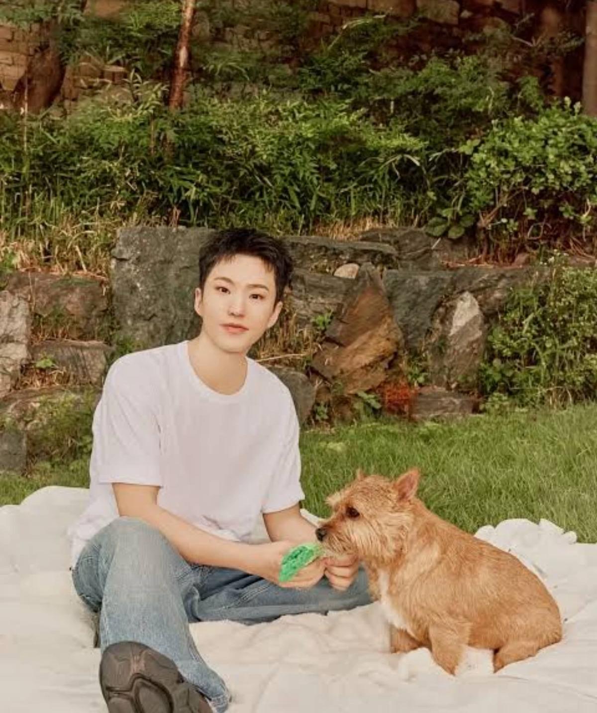 Kwon Soonyoung-Hoshi thumbnail