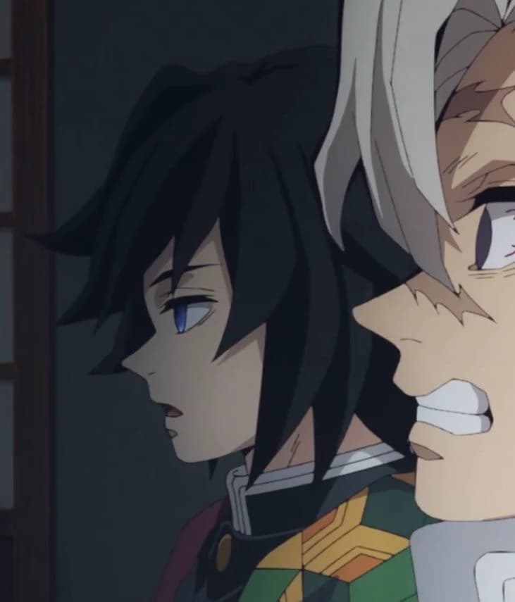 Sanemi and Giyuu thumbnail