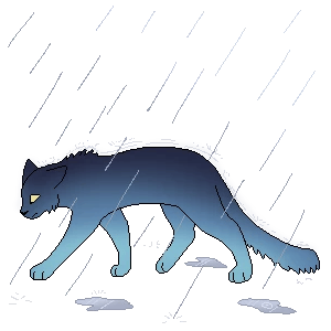 Storm thumbnail