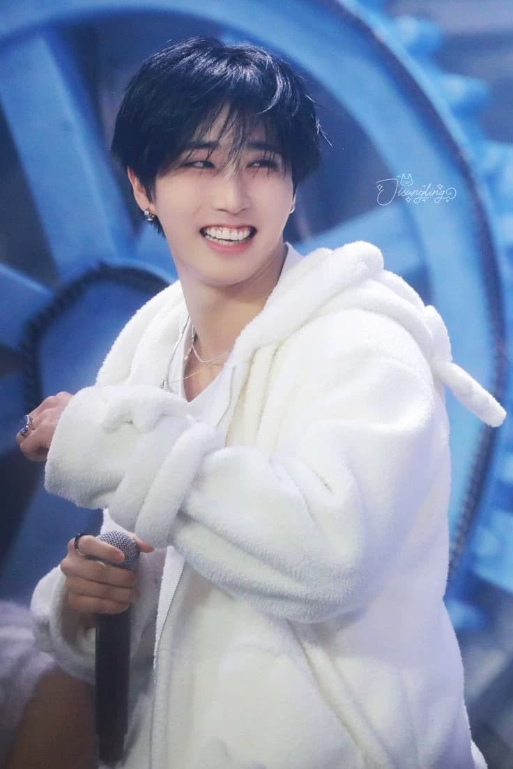 Han Jisung  thumbnail