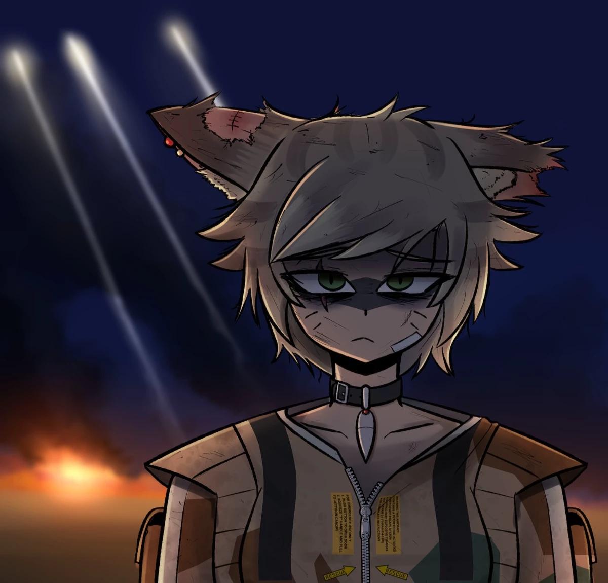Tomcat thumbnail