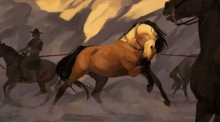 Horses thumbnail