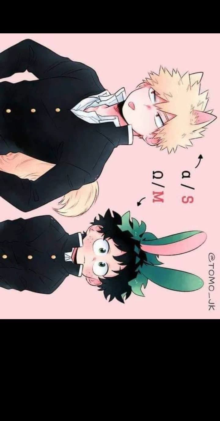 Katsuki Bakugo 🐺 e Izuku Midoriya 🐰 thumbnail