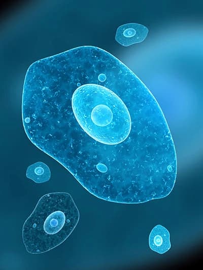 Single Cell Organism Simulator thumbnail