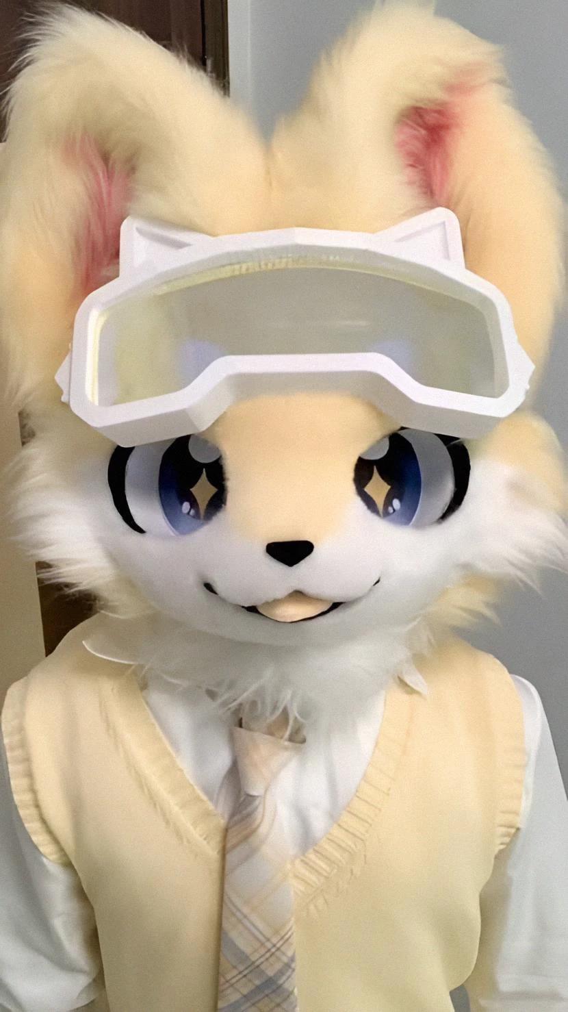 Mewi thumbnail