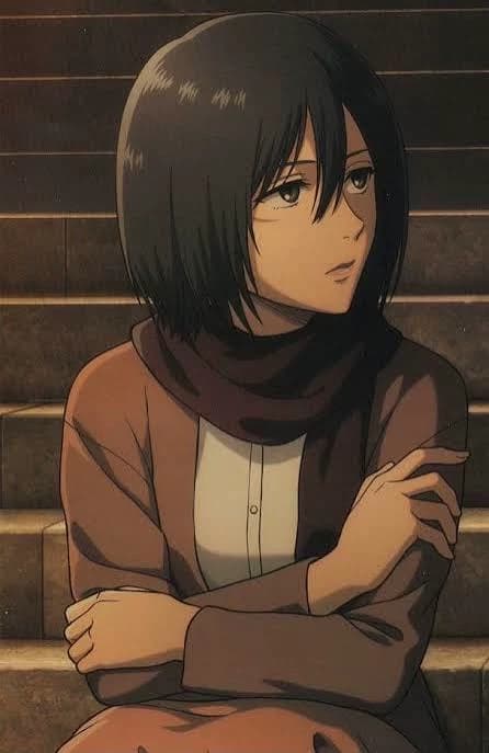 Mikasa thumbnail