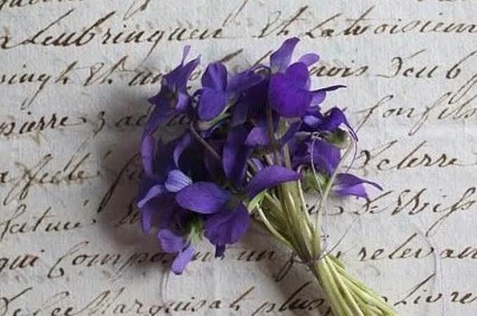 Sprig of violets thumbnail