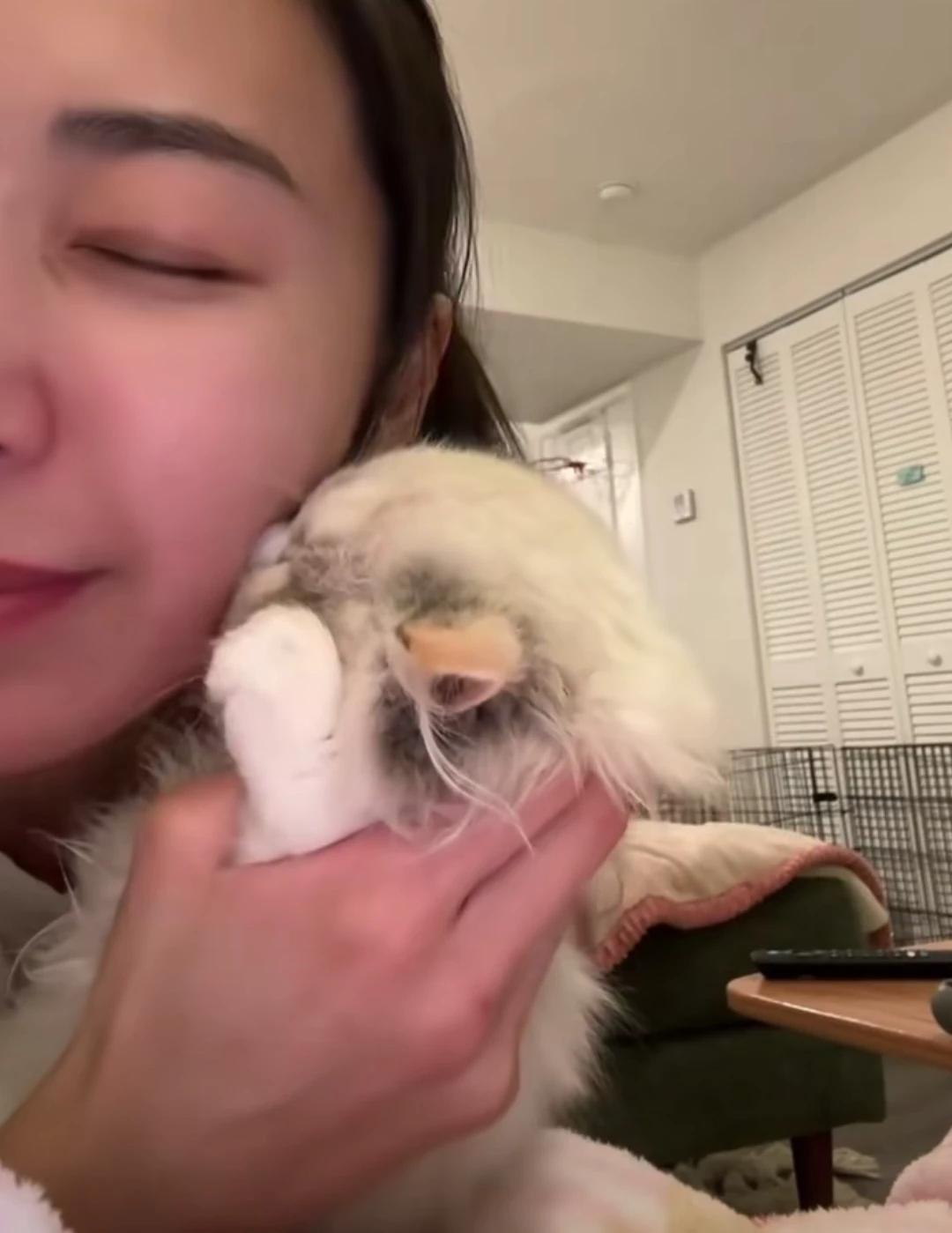 Mango and Sofia thumbnail