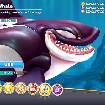 Killer Whale thumbnail